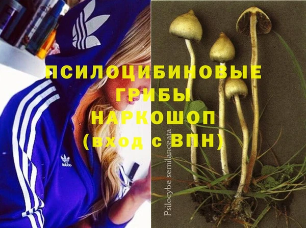 скорость Алексин