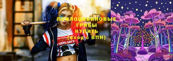 ешки Алексеевка